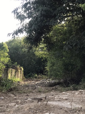 ขายที่ดินเปล่าติดริมน้ำชี 5.3 ไร่ ราคา 10 ล้านบาท ต.เมืองเก่า อ.เมือง จ.ขอนแก่น 