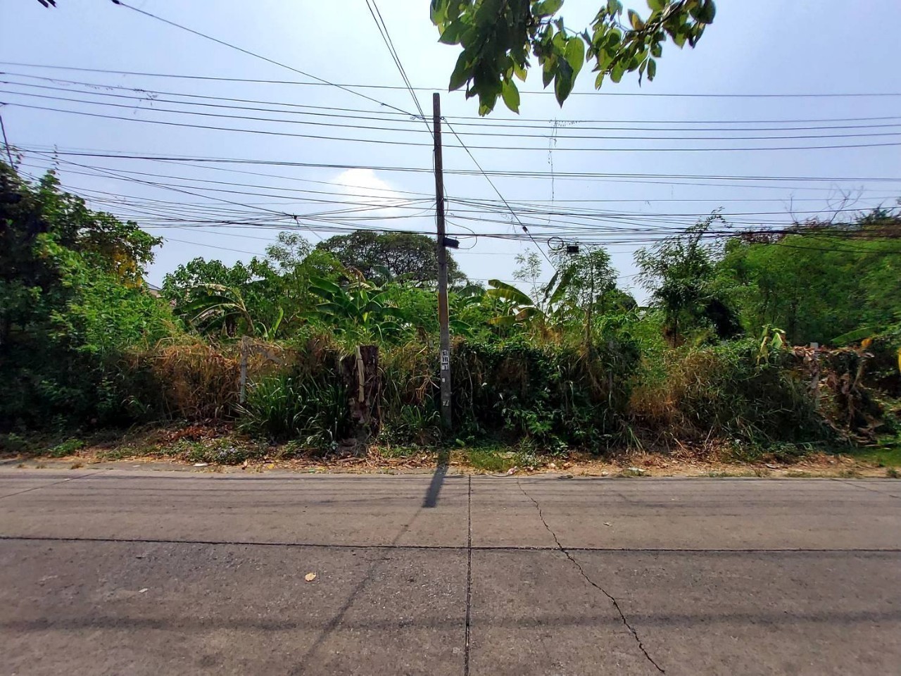 ขายที่ดินดอนเมือง 300 ตารางวา แปลงมุม ถมแล้ว ติดถนนคอนกรีต ซอย สรงประภา 24 กรุงเทพมหานคร
