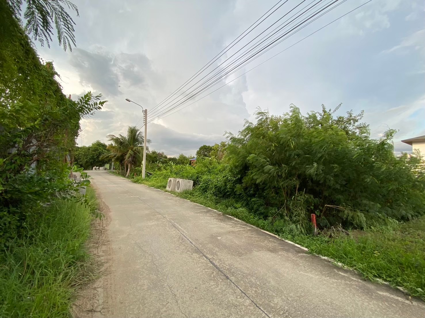 ขายที่ดินถนนราชพฤกษ์ 200 ตารางวา ติดถนนคอนกรีตสาธารณะ ซอย 18 คอร์ด อ.ปากเกร็ด จ.นนทบุรี