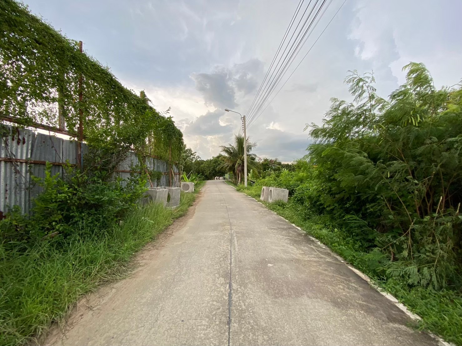 ขายที่ดินถนนราชพฤกษ์ 200 ตารางวา ติดถนนคอนกรีตสาธารณะ ซอย 18 คอร์ด อ.ปากเกร็ด จ.นนทบุรี