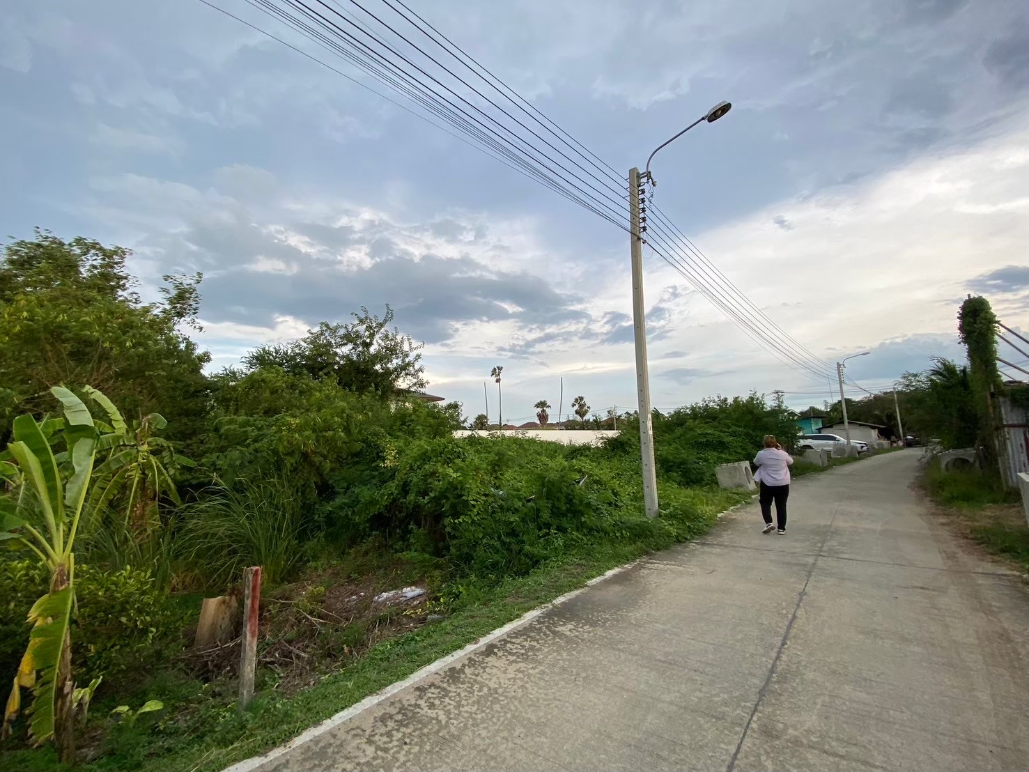 ขายที่ดินถนนราชพฤกษ์ 200 ตารางวา ติดถนนคอนกรีตสาธารณะ ซอย 18 คอร์ด อ.ปากเกร็ด จ.นนทบุรี