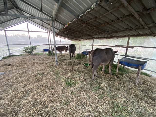 ขายที่ดิน 12ไร่ 1งาน พร้อมอยู่และพร้อมทำธุกิจเกษตร บ้านพักต่างอากาศ นครนายก  