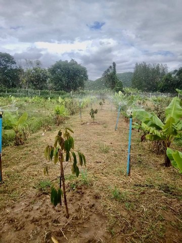 ที่ดินทำเลดี วิวภูเขาล้อมรอบ  เริ่มต้น 10+ไร่ ต.กลัดหลวง อ.ท่ายาง จ.เพชรบุรี 