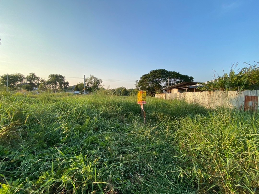 ขายถูก‼ ที่ดินใกล้ อบต.ลำโพ 100 ตารางวา ติดถนนลาดยางสาธารณะ อ.บางบัวทอง จ.นนทบุรี