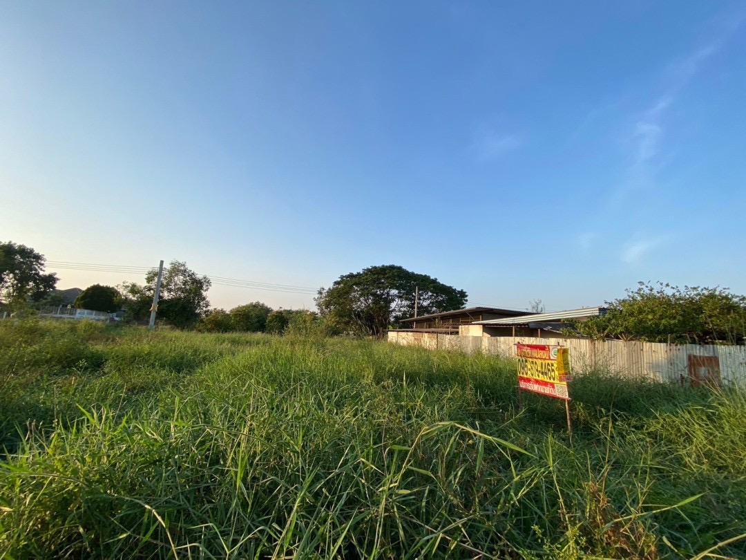 ขายถูก‼ ที่ดินใกล้ อบต.ลำโพ 100 ตารางวา ติดถนนลาดยางสาธารณะ อ.บางบัวทอง จ.นนทบุรี