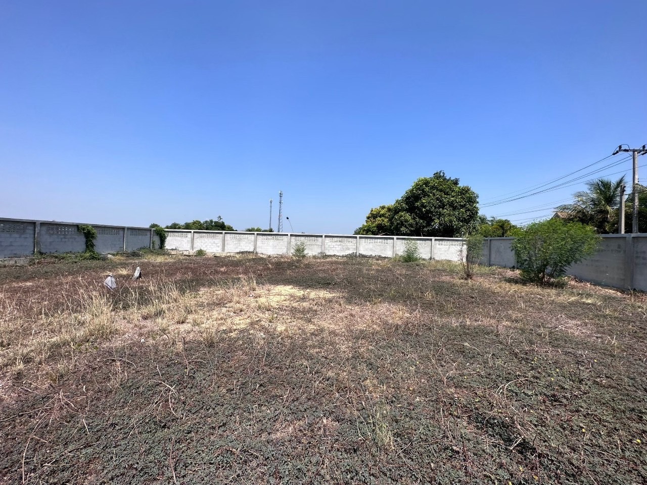 ลดทันที 1 ลบ. ขายที่ดินติดคลองนายหลีก 258.9 ตารางวา ถมและล้อมรั้วคอนกรีตแล้ว  อ.บางบัวทอง จ.นนทบุรี