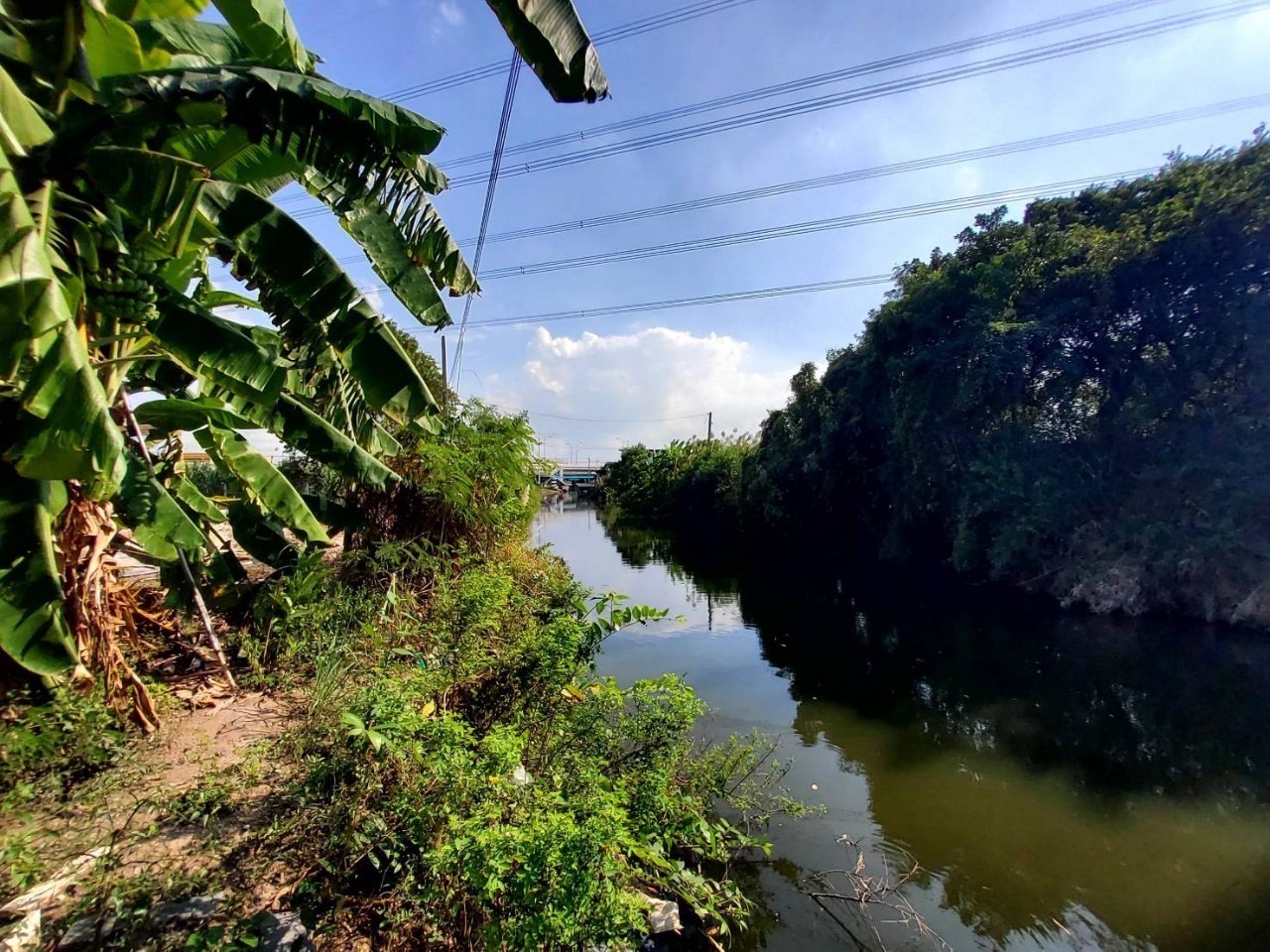 ขายด่วน‼ ที่ดินติดคลองลำโพ 150 ตารางวา ถมแล้วทั้งแปลง โครงการเปาอินทร์ ถนนกาญจนาภิเษก อ.ปากเกร็ด จ.นนทบุรี