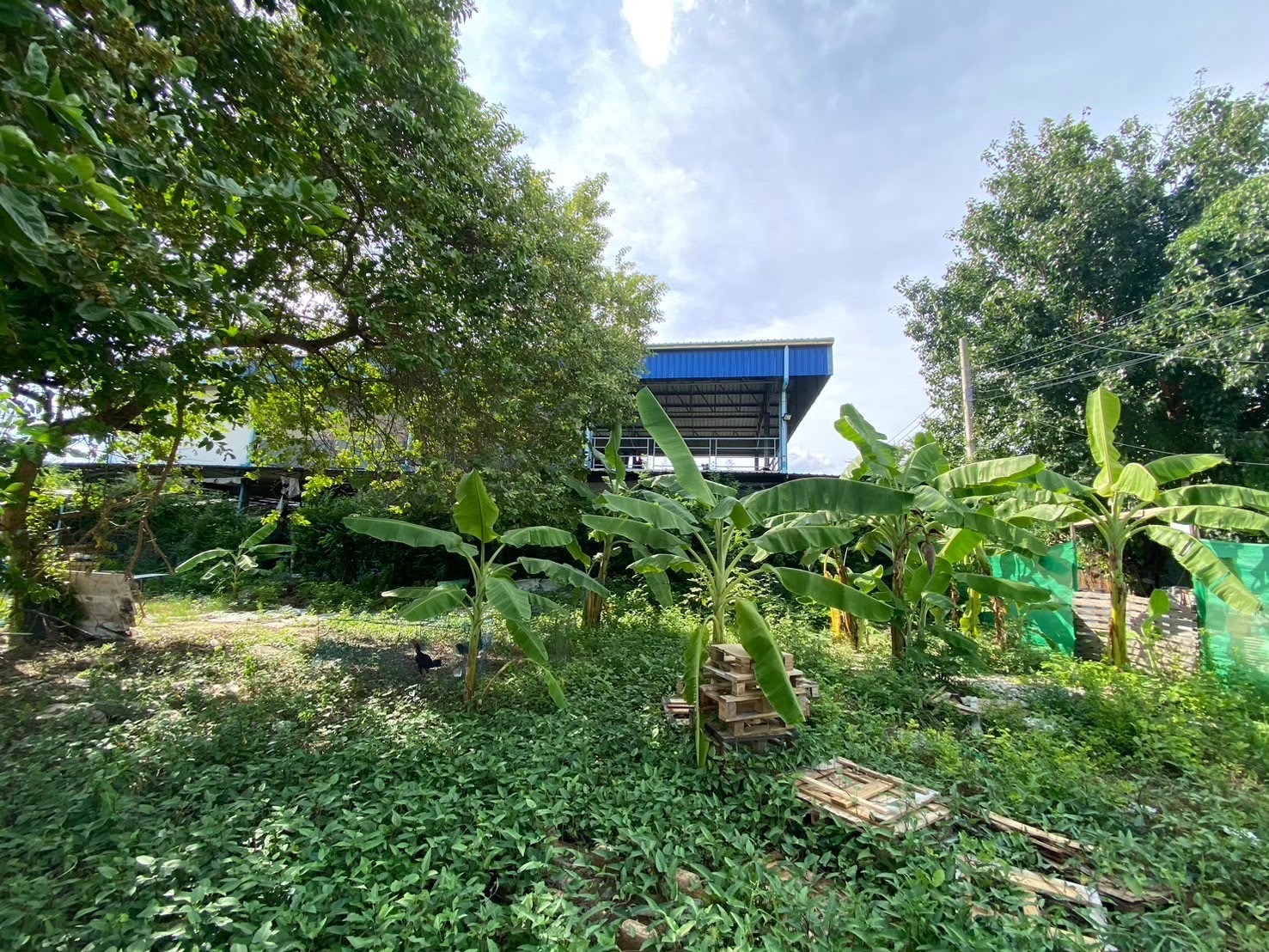 ขายด่วน‼ ที่ดินติดคลองลำโพ 150 ตารางวา ถมแล้วทั้งแปลง โครงการเปาอินทร์ ถนนกาญจนาภิเษก อ.ปากเกร็ด จ.นนทบุรี