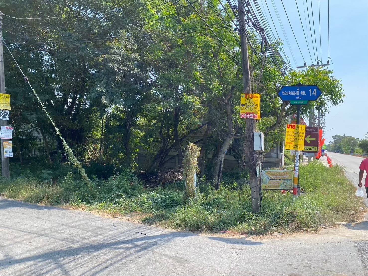 ขายด่วน ที่ดินใกล้มอเตอร์เวย์ 50 ตารางวา ติดถนนคอนกรีตสาธารณะ ซอย คลองสี่ตะวันออก 14 อ.คลองหลวง จ.ปทุมธานี