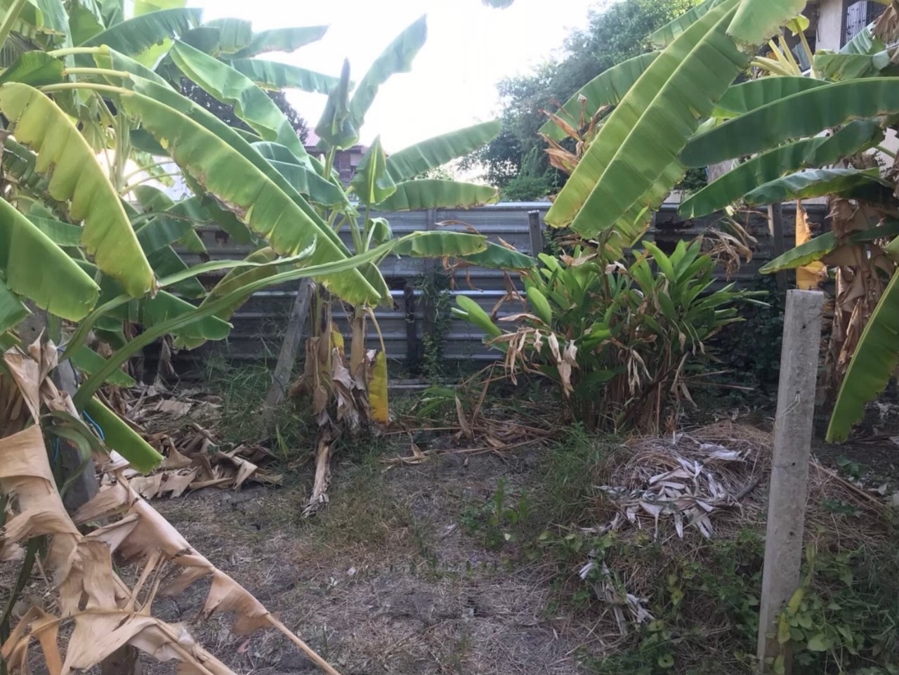 ขายถูก‼ ทีดินคลองข่อย 62 ตารางวา ถมแล้ว ติดถนนลาดยางสาธารณะ ซอย อริสราเพลส 4 อ.ปากเกร็ด จ.นนทบุรี