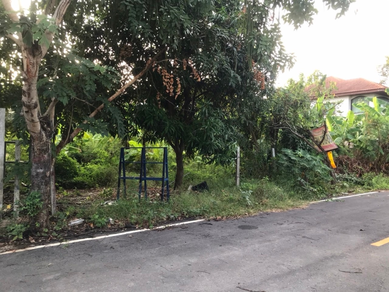 ขายถูก‼ ทีดินคลองข่อย 62 ตารางวา ถมแล้ว ติดถนนลาดยางสาธารณะ ซอย อริสราเพลส 4 อ.ปากเกร็ด จ.นนทบุรี