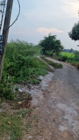 ขายที่ดินทำเลดี พื้นที่รวม 4 ไร่ 3 งาน 4 ตรว. เจ้าของขายเอง นครนายก 