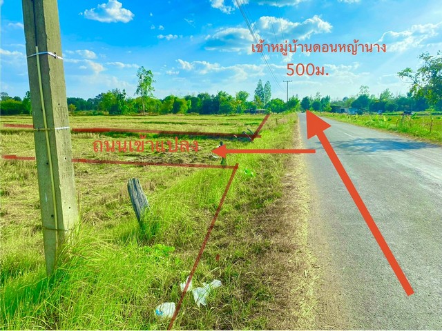 ขายที่ดิน 150,200,300 ตารางวา ดอนหญ้านาง ต.ดอนช้าง อ.เมือง จ.ขอนแก่น