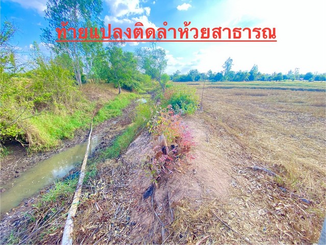 ขายที่ดิน 150,200,300 ตารางวา ดอนหญ้านาง ต.ดอนช้าง อ.เมือง จ.ขอนแก่น