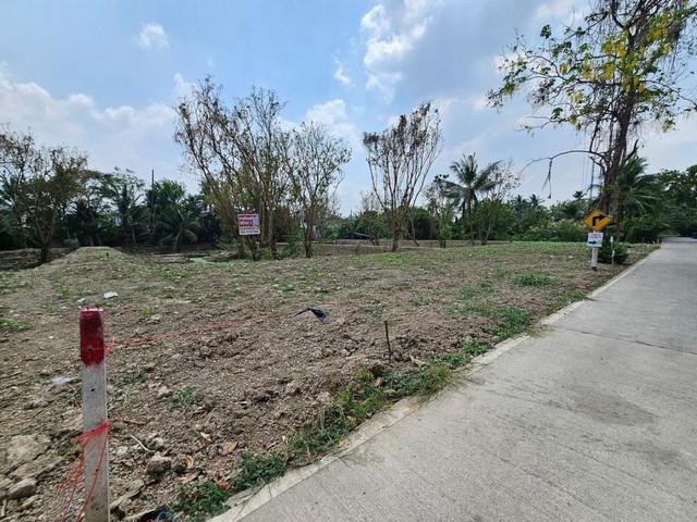 ขายที่ดิน3 ไร่ 85 ตารางวา ตำบลบางกร่าง อำเภอเมืองนนทบุรี นนทบุรี