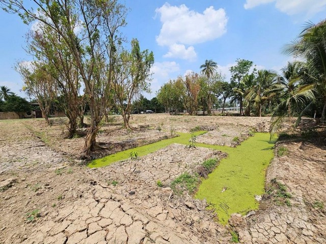 ขายที่ดิน3 ไร่ 85 ตารางวา ตำบลบางกร่าง อำเภอเมืองนนทบุรี นนทบุรี