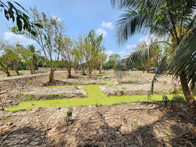 ขายที่ดิน3 ไร่ 85 ตารางวา ตำบลบางกร่าง อำเภอเมืองนนทบุรี นนทบุรี