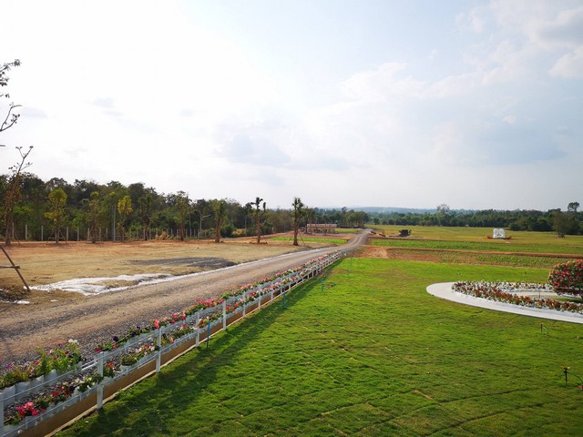  ขายที่ดินที่ดิน 92 ไร่  อ.น้ำพอง จ.ขอนแก่น