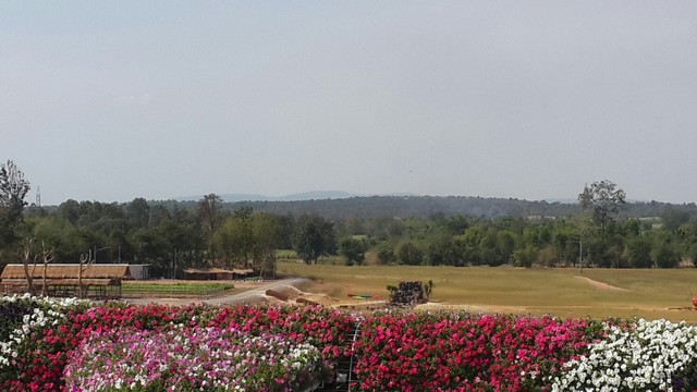  ขายที่ดินที่ดิน 92 ไร่  อ.น้ำพอง จ.ขอนแก่น