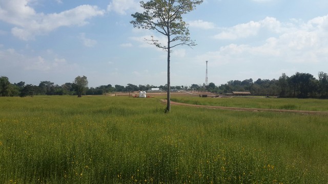  ขายที่ดินที่ดิน 92 ไร่  อ.น้ำพอง จ.ขอนแก่น