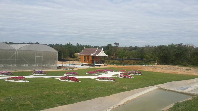  ขายที่ดินที่ดิน 92 ไร่  อ.น้ำพอง จ.ขอนแก่น