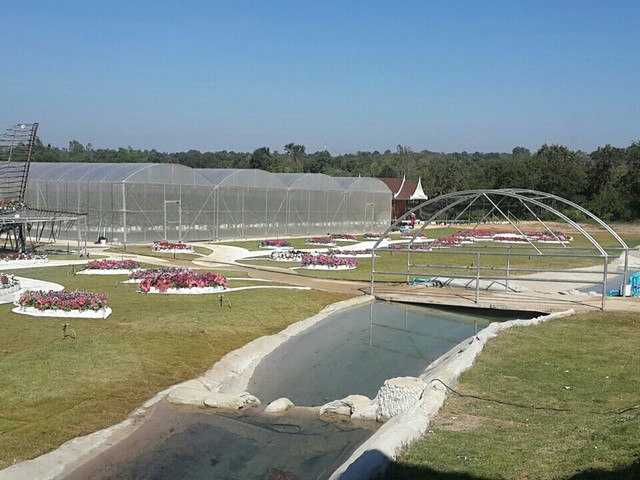  ขายที่ดินที่ดิน 92 ไร่  อ.น้ำพอง จ.ขอนแก่น