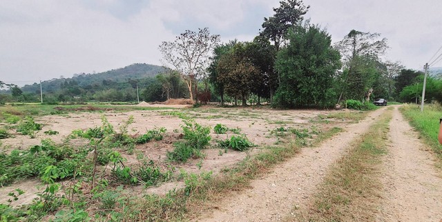 ขายที่ดินวิวเขาเจ้าของขายเอง 1ไร่ ตำบลเขาเพิ่ม อำเภอบ้านนา นครนายก