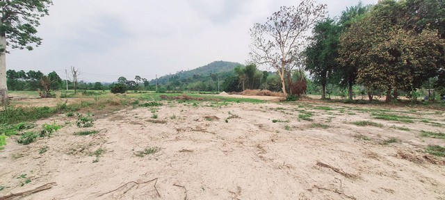 ขายที่ดินวิวเขาเจ้าของขายเอง 1ไร่ ตำบลเขาเพิ่ม อำเภอบ้านนา นครนายก