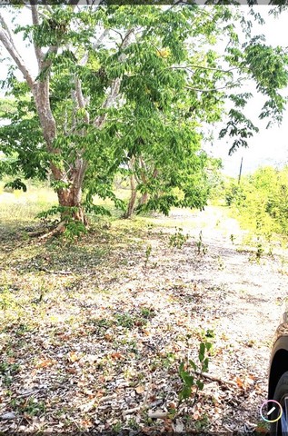 ขายที่ดินทำเลทอง 4 แปลง ตำบลเขาวงกด อ.แก่งหางแมว จ.จันทบุรี 