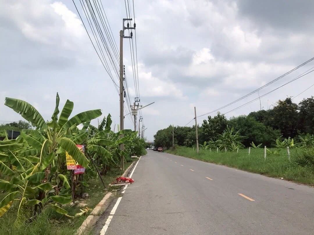 ขายราคาประเมิน ที่ดินซอยหมู่บ้านบัวทอง แลนด์ 255 ตารางวา ถมแล้ว ติดถนนสองด้าน อ.บางบัวทอง จ.นนทบุรี