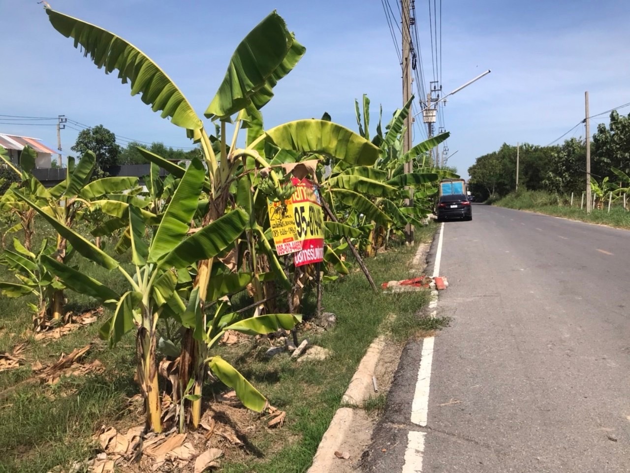 ขายราคาประเมิน ที่ดินซอยหมู่บ้านบัวทอง แลนด์ 255 ตารางวา ถมแล้ว ติดถนนสองด้าน อ.บางบัวทอง จ.นนทบุรี