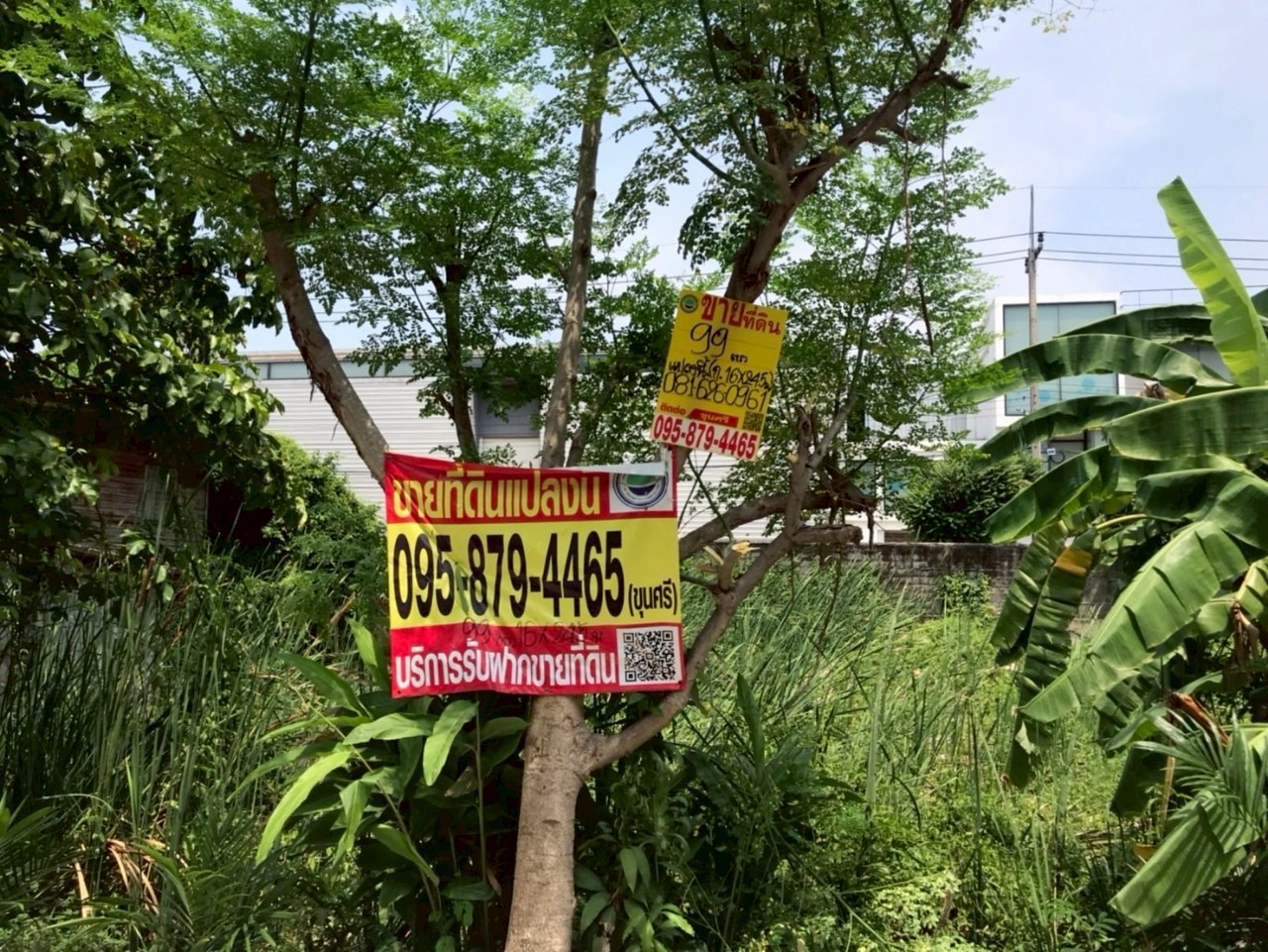 ขายที่ดินใกล้ถนนบางบัวทอง-สุพรรณฯ(340) เนื้อที่ 99 ตารางวา ติดถนนคอนกรีตสาธารณะ อ.บางบัวทอง จ.นนทบุรี