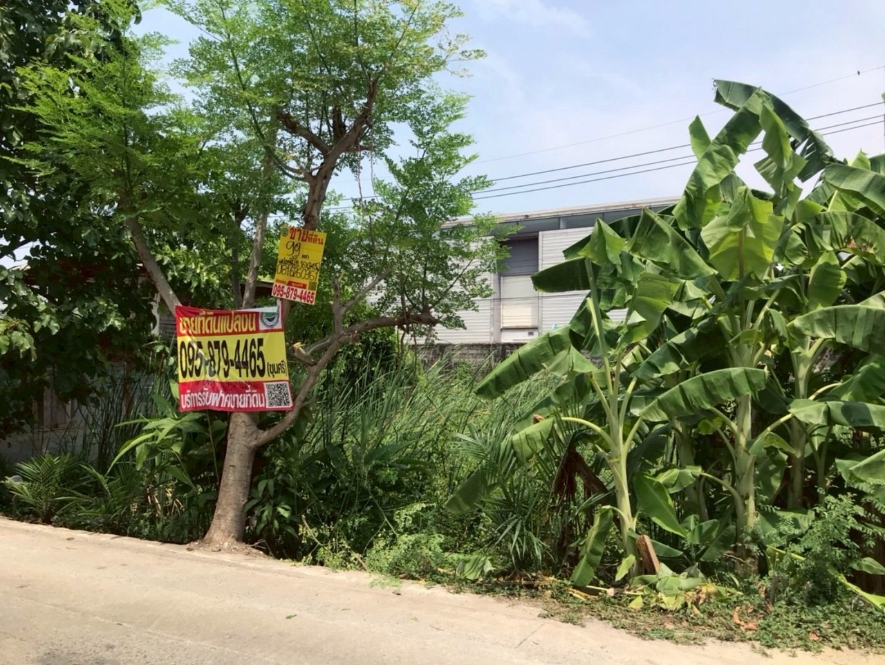 ขายที่ดินใกล้ถนนบางบัวทอง-สุพรรณฯ(340) เนื้อที่ 99 ตารางวา ติดถนนคอนกรีตสาธารณะ อ.บางบัวทอง จ.นนทบุรี