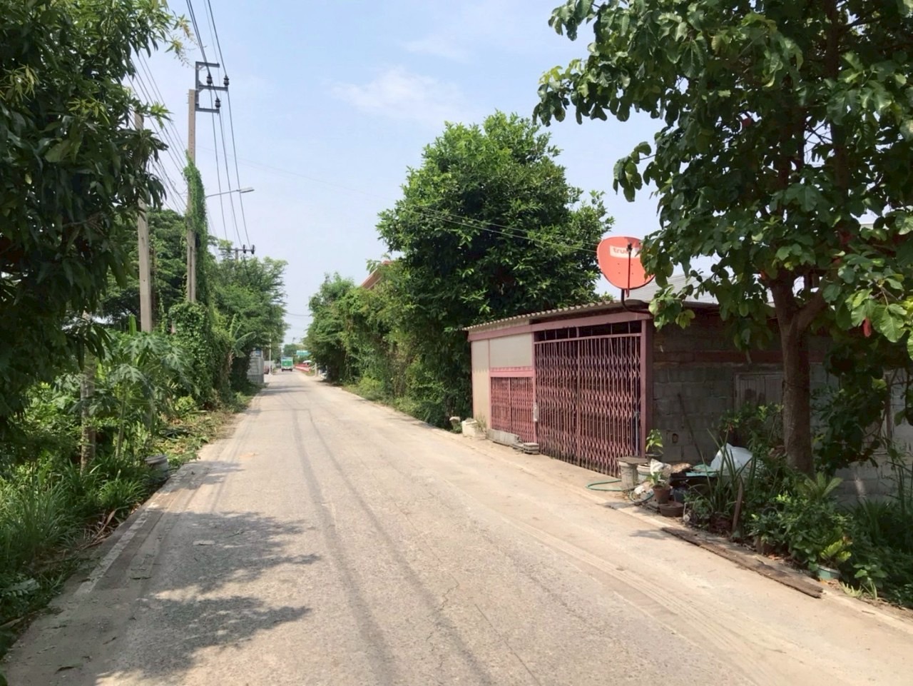 ขายที่ดินใกล้ถนนบางบัวทอง-สุพรรณฯ(340) เนื้อที่ 99 ตารางวา ติดถนนคอนกรีตสาธารณะ อ.บางบัวทอง จ.นนทบุรี