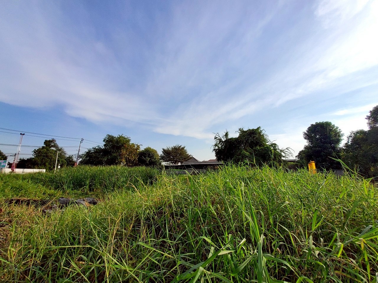 ขายด่วน ที่ดินติดคลองลาดปลาดุก 399 ตารางวา แปลงมุม ชอยโรงเรียนสากลศึกษา อ.บางบัวทอง จ.นนทบุรี