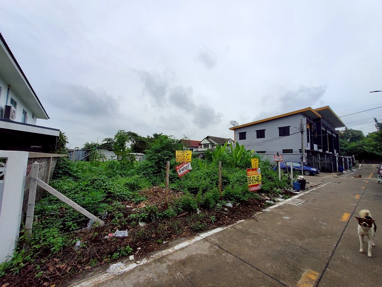 ขายถูก ที่ดินใกล้รถไฟฟ้าสายสีม่วง 103 ตารางวา แปลงมุม  ติดถนนคอนกรีตสาธารณะ ซอยวัดไผ่เหลือง อ.บางบัวทอง จ.นนทบุรี