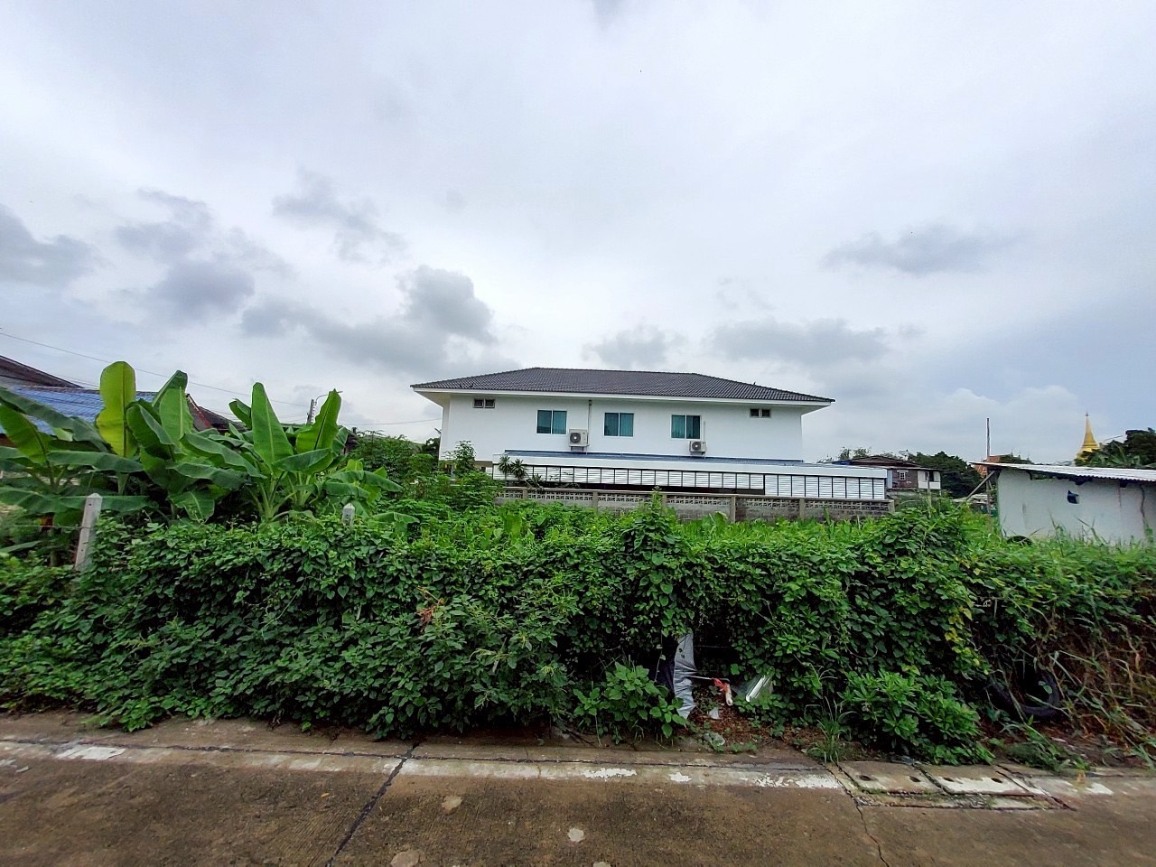 ขายถูก ที่ดินใกล้รถไฟฟ้าสายสีม่วง 103 ตารางวา แปลงมุม  ติดถนนคอนกรีตสาธารณะ ซอยวัดไผ่เหลือง อ.บางบัวทอง จ.นนทบุรี