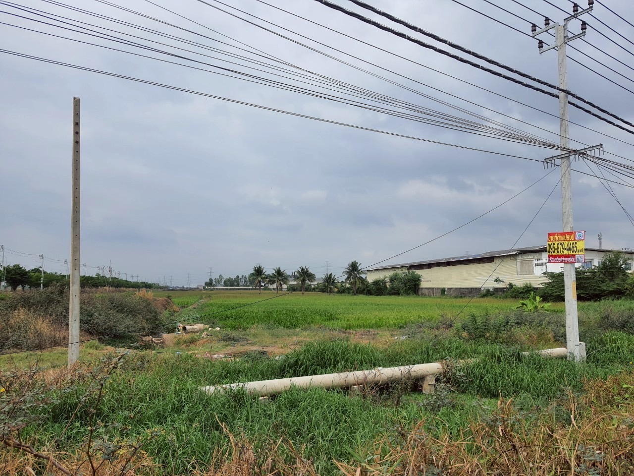 ขายถูก ที่ดินติดถนน 4 เลน เนื้อที่ 15-3-32 ไร่ ติดถนนปทุมธานี-บางเลน(346)ต.ขุนศรี อ.ไทรน้อย จ.นนทบุรี