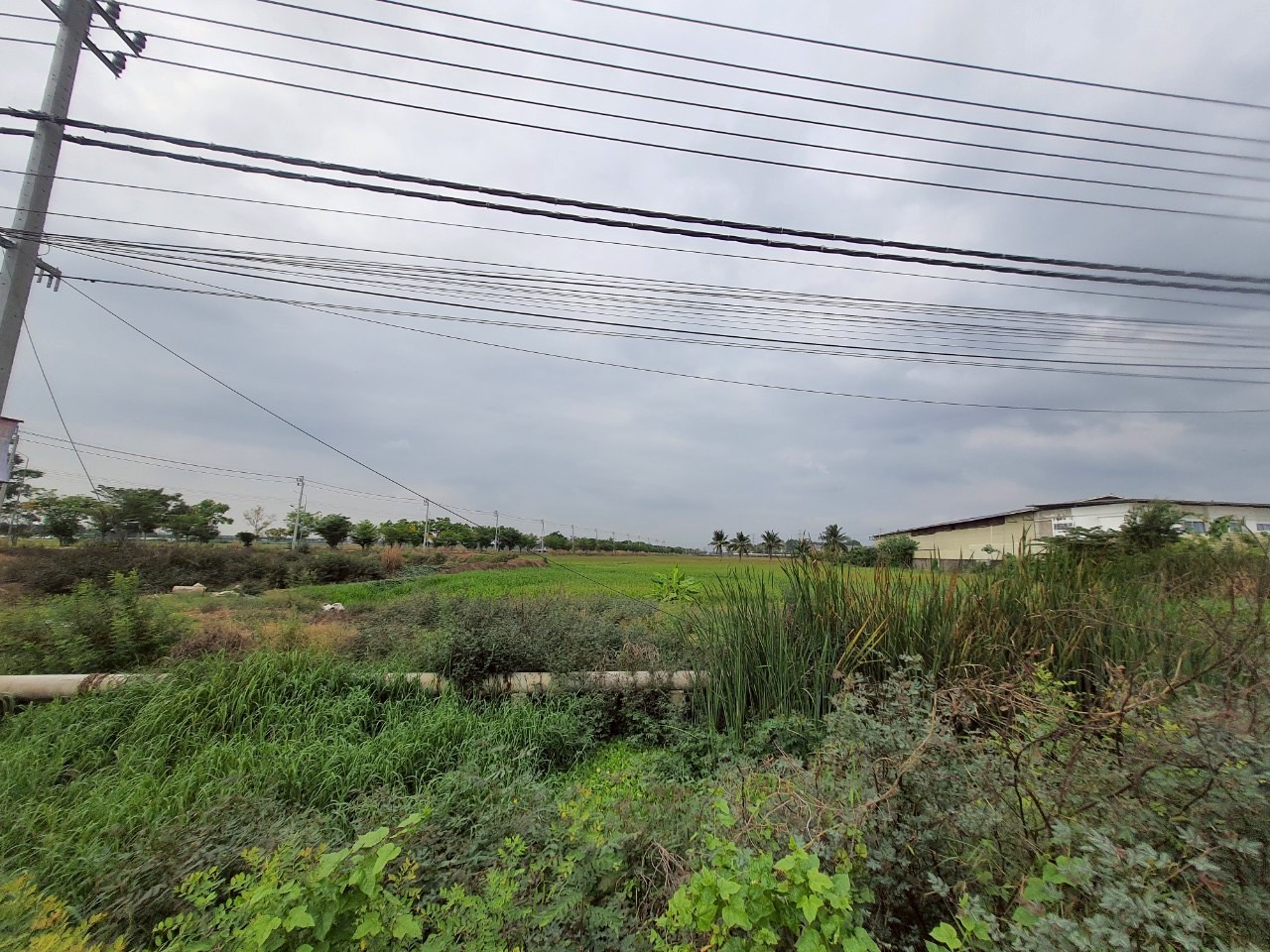 ขายถูก ที่ดินติดถนน 4 เลน เนื้อที่ 15-3-32 ไร่ ติดถนนปทุมธานี-บางเลน(346)ต.ขุนศรี อ.ไทรน้อย จ.นนทบุรี