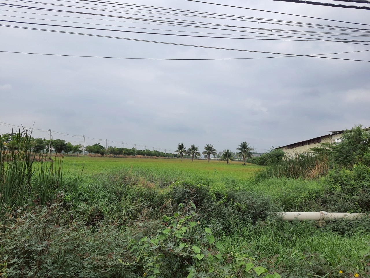 ขายถูก ที่ดินติดถนน 4 เลน เนื้อที่ 15-3-32 ไร่ ติดถนนปทุมธานี-บางเลน(346)ต.ขุนศรี อ.ไทรน้อย จ.นนทบุรี