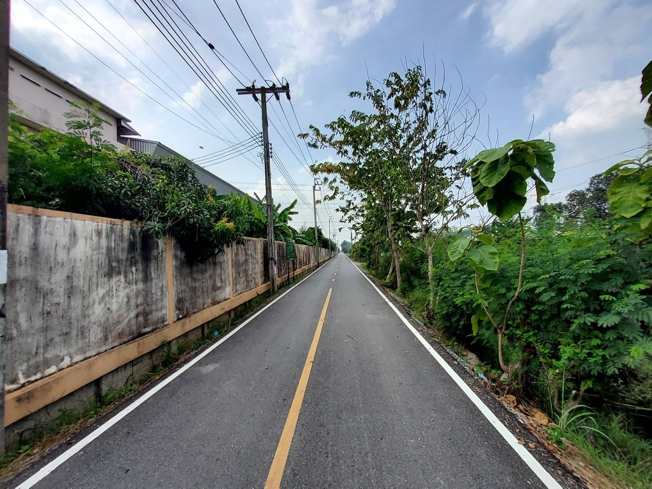 ขายด่วน ที่ดินผังสีม่วงไทรใหญ่ 6 ไร่เศษ(แบ่งได้) ติดถนนลาดยางสาธารณะ ถนน 3015 อ.ไทรน้อย นนทบุรี