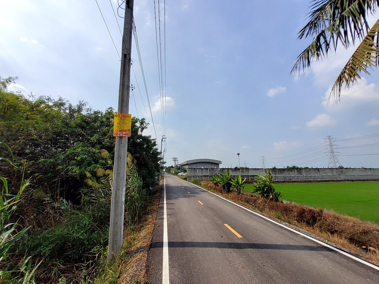 ขายด่วน ที่ดินผังสีม่วงไทรใหญ่ 6 ไร่เศษ(แบ่งได้) ติดถนนลาดยางสาธารณะ ถนน 3015 อ.ไทรน้อย นนทบุรี