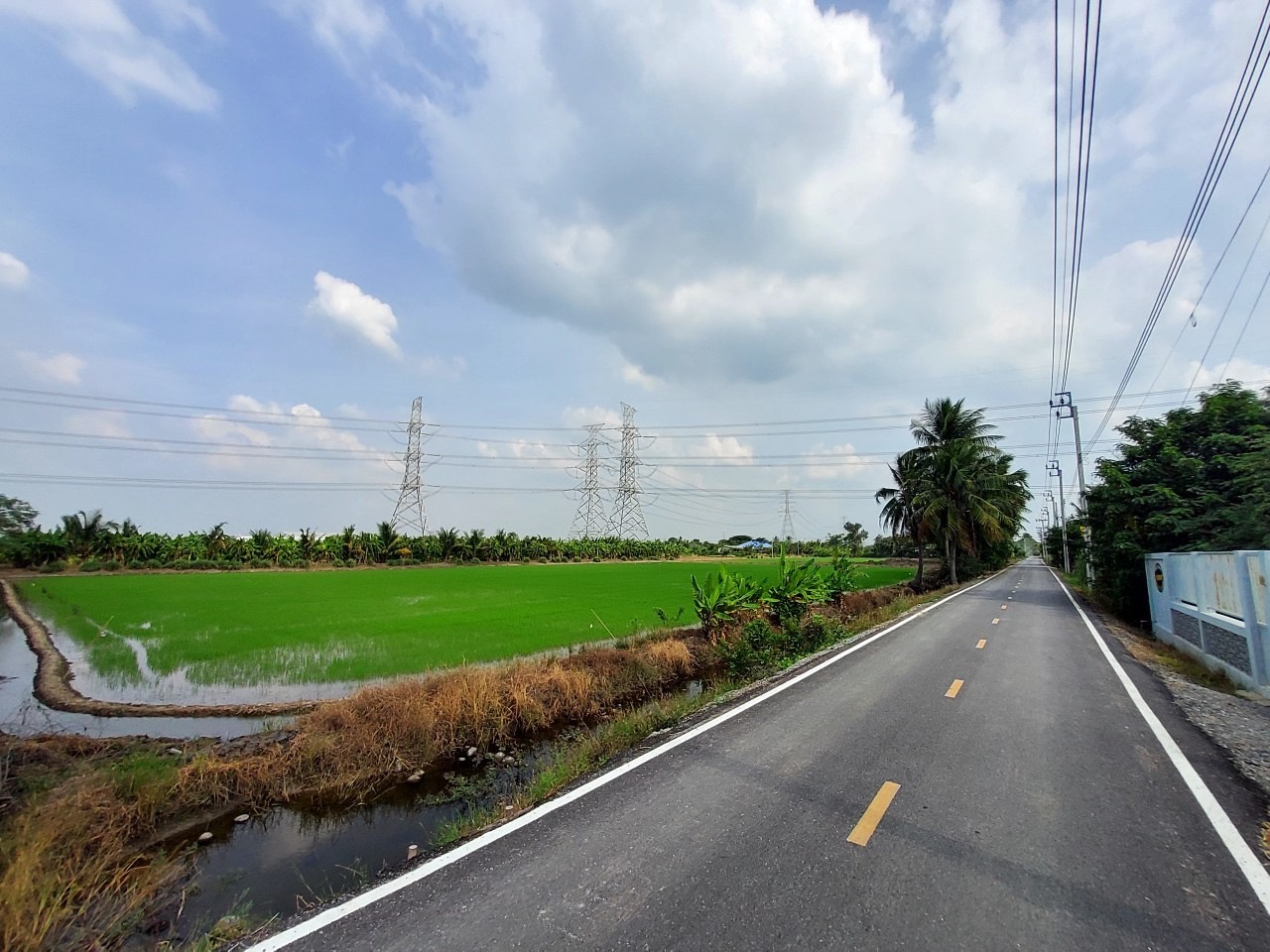 ขายด่วน ที่ดินผังสีม่วงไทรใหญ่ 6 ไร่เศษ(แบ่งได้) ติดถนนลาดยางสาธารณะ ถนน 3015 อ.ไทรน้อย นนทบุรี