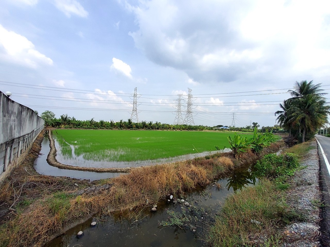 ขายด่วน ที่ดินผังสีม่วงไทรใหญ่ 6 ไร่เศษ(แบ่งได้) ติดถนนลาดยางสาธารณะ ถนน 3015 อ.ไทรน้อย นนทบุรี