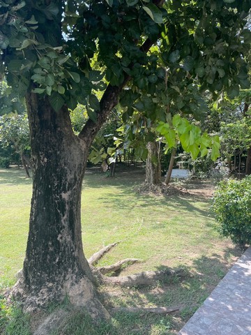 ขายที่ดินพร้อมบ้านหรูสองชั้นหลังใหญ่ ใกล้ตัวเมืองนครนายก