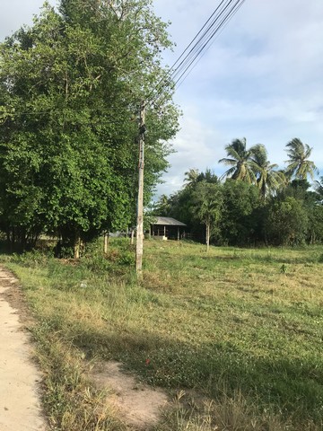 ขายที่ดินวิวธรรมชาติ เจ้าของขายเอง 1 ไร่ 2 งาน ตำบลเขากระปุก อำเภอท่ายาง จังหวัดเพชรบุรี