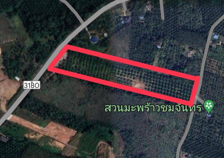 ขายที่ดินสวย 21ไร่   เอกสารสิทธิโฉนด เจ้าของขายเอง ชุมพร