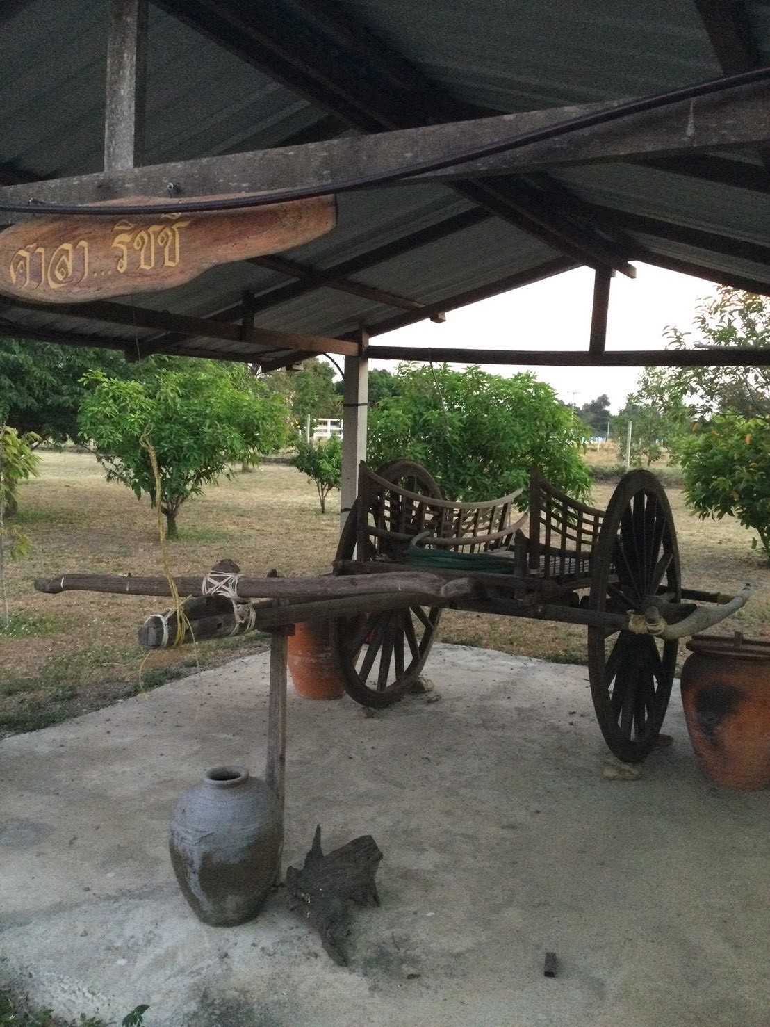 ขายที่ดินพร้อมสิ่งปลูกสร้าง เนื้อที่ 3 ไร่ 1 งาน 94 ตารางวา ตำบลพุแคส