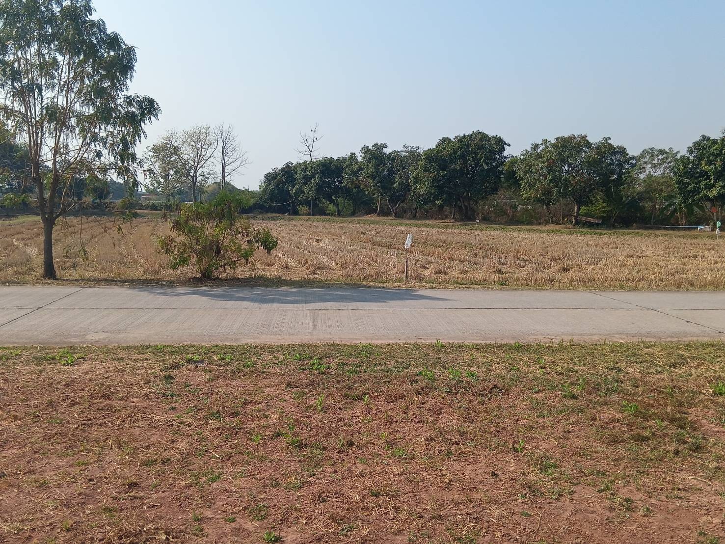 ขายที่ดิน แบ่ง 3 แปลง เจ้าของขายเอง 91 ตารางวา ขอนแก่น 