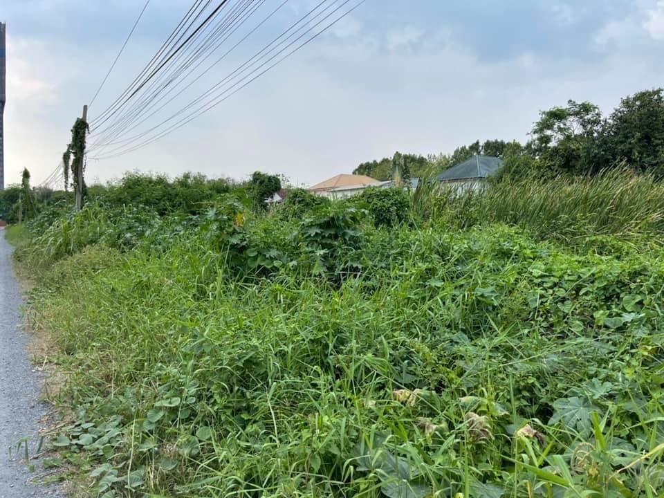 ขายที่ดิน 346 ตารางวา  เทศบาลนครปากเกร็ด อำเภอปากเกร็ด นนทบุรี